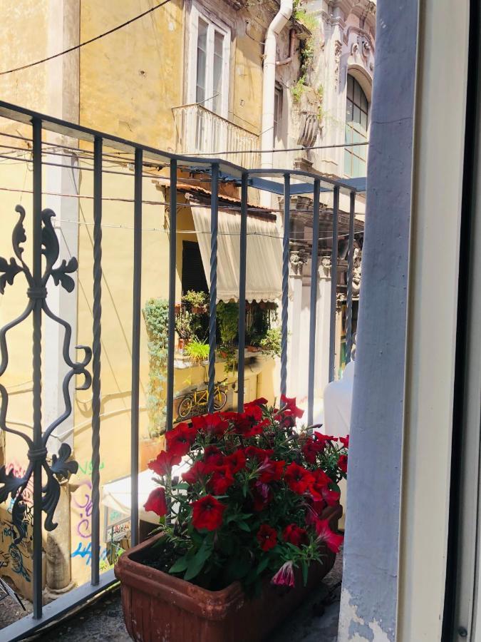 Dimora Paladino Bed and Breakfast Νάπολη Εξωτερικό φωτογραφία